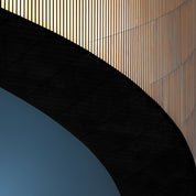 Arc - Yaopey Fine Art - 