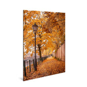 Autumnal - Yaopey Fine Art - 