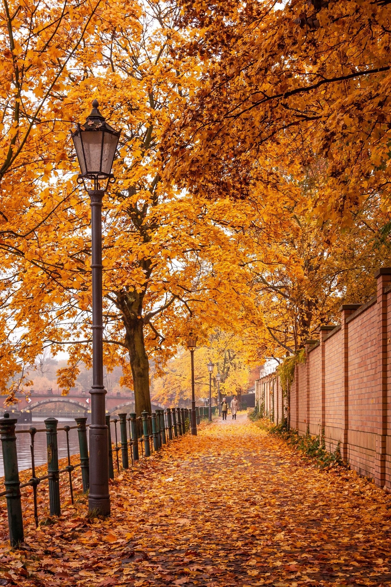 Autumnal - Yaopey Fine Art - 