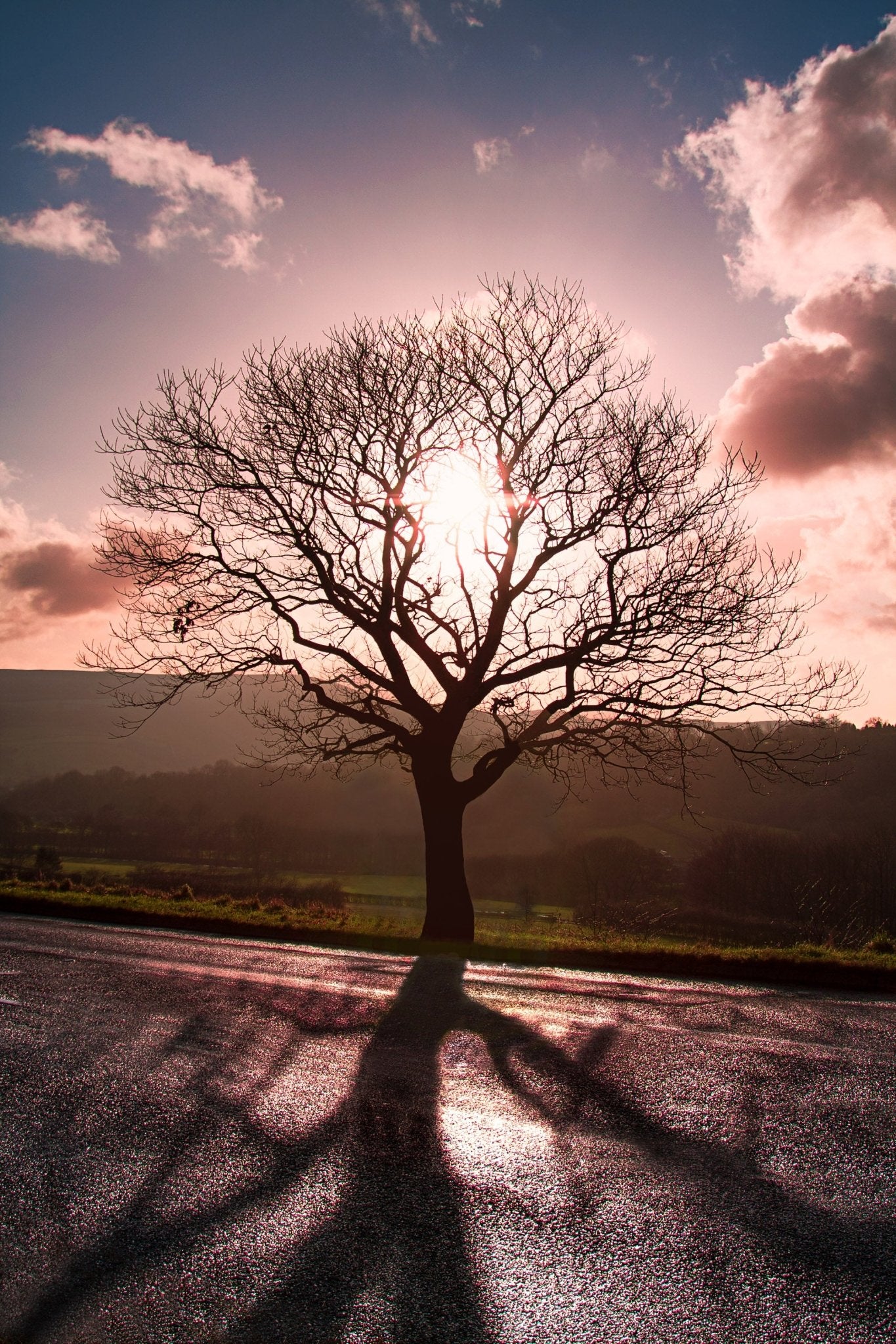 Awaken - Peak District - Yaopey Fine Art - 