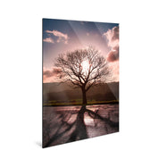 Awaken - Peak District - Yaopey Fine Art - 