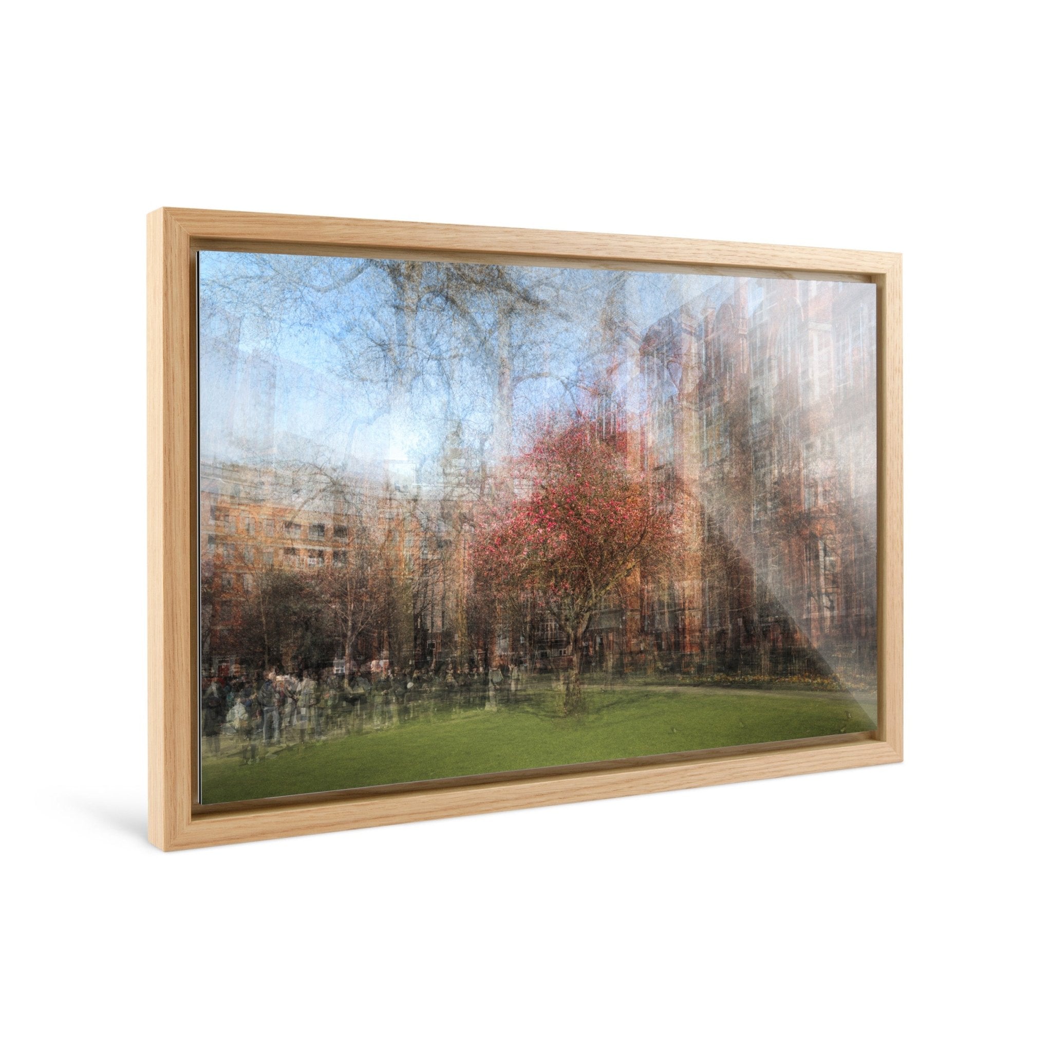 Bloom - Manchester - Yaopey Fine Art - 
