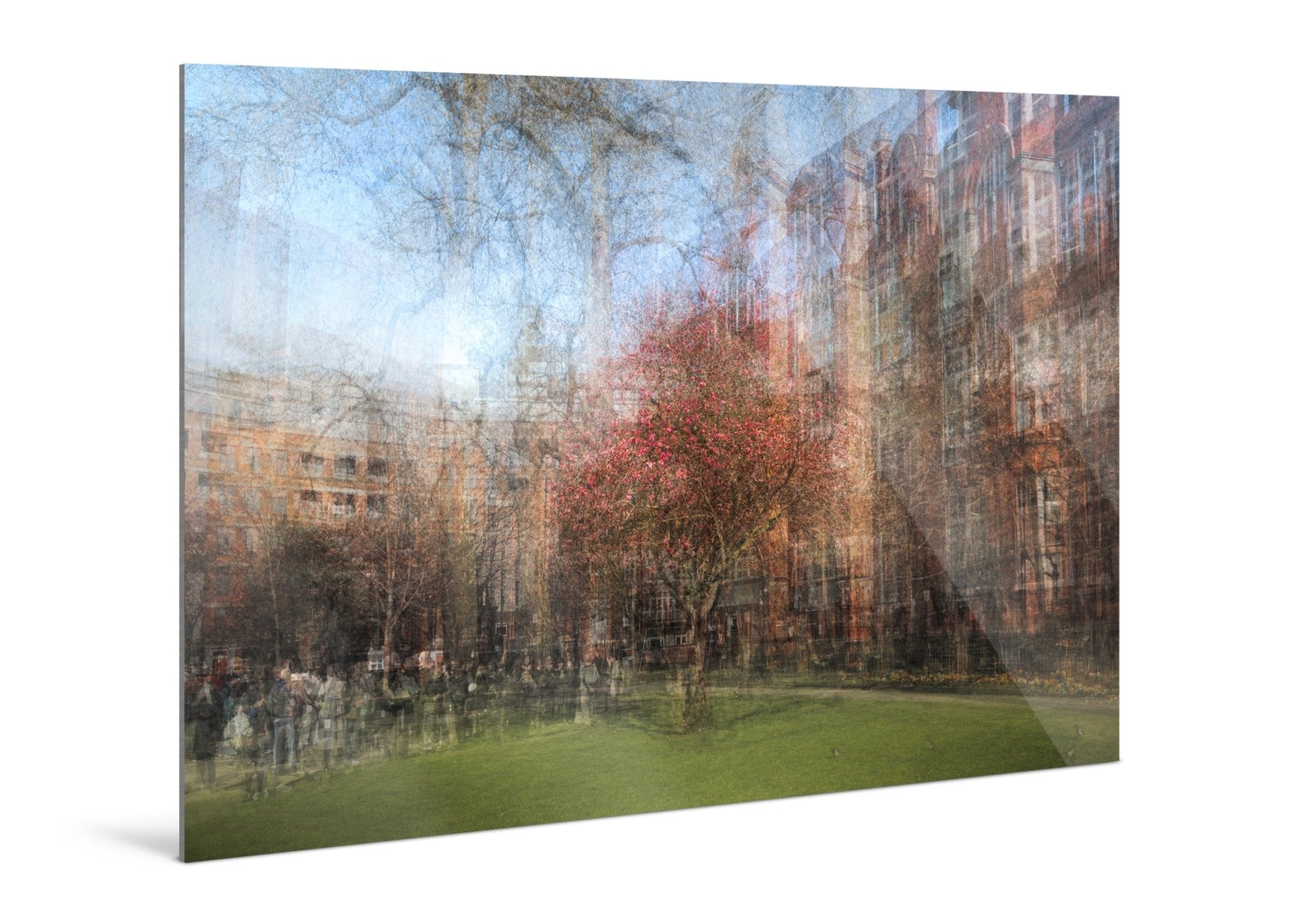 Bloom - Manchester - Yaopey Fine Art - 