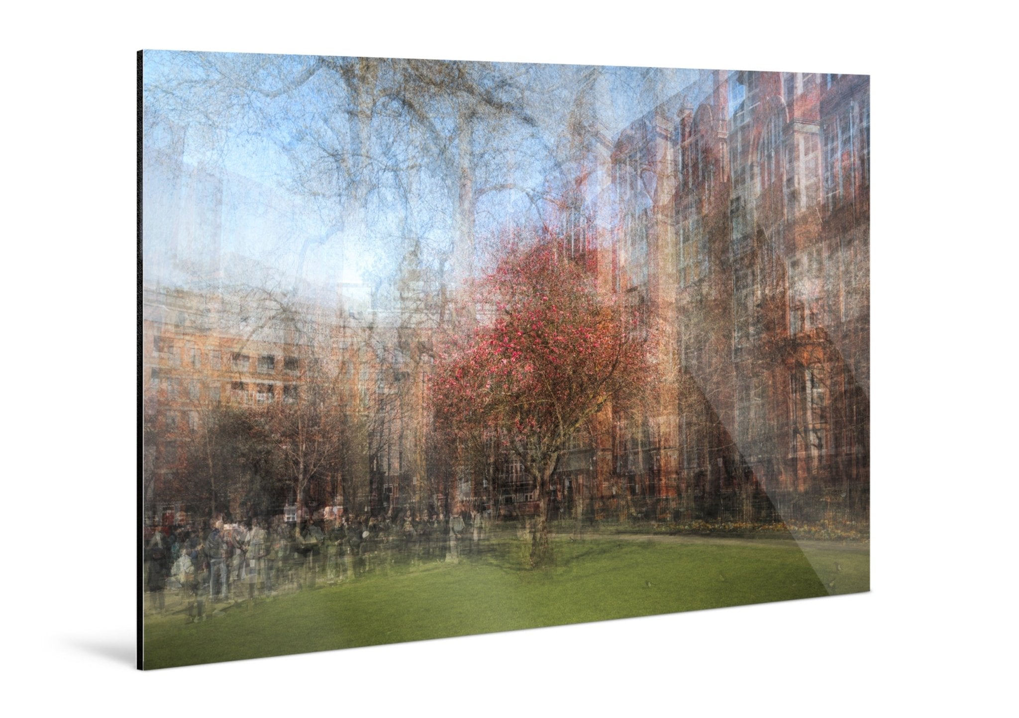 Bloom - Manchester - Yaopey Fine Art - 