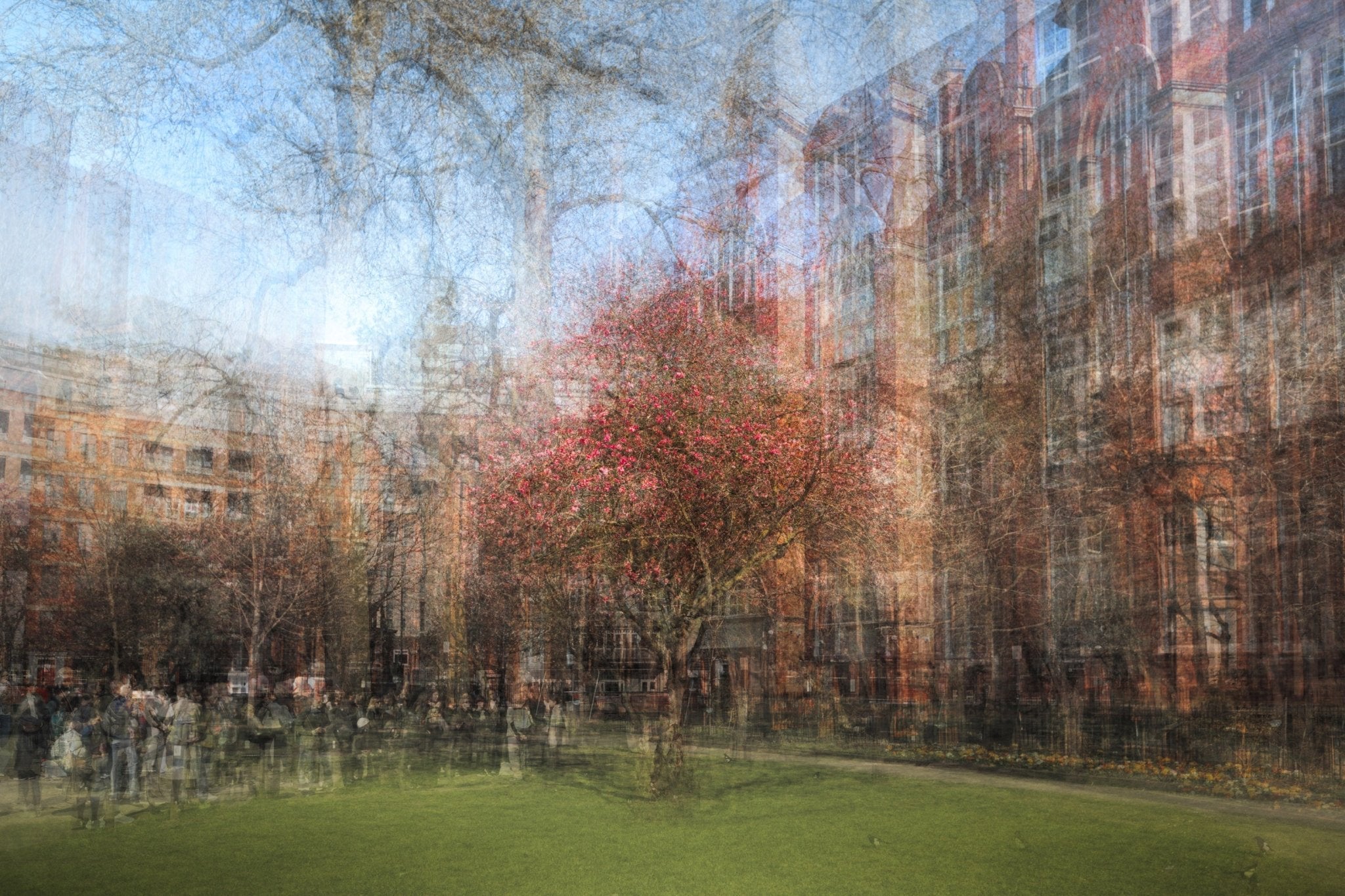 Bloom - Manchester - Yaopey Fine Art - 