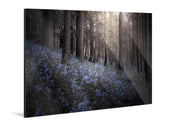 Bluebells - Yaopey Fine Art - 