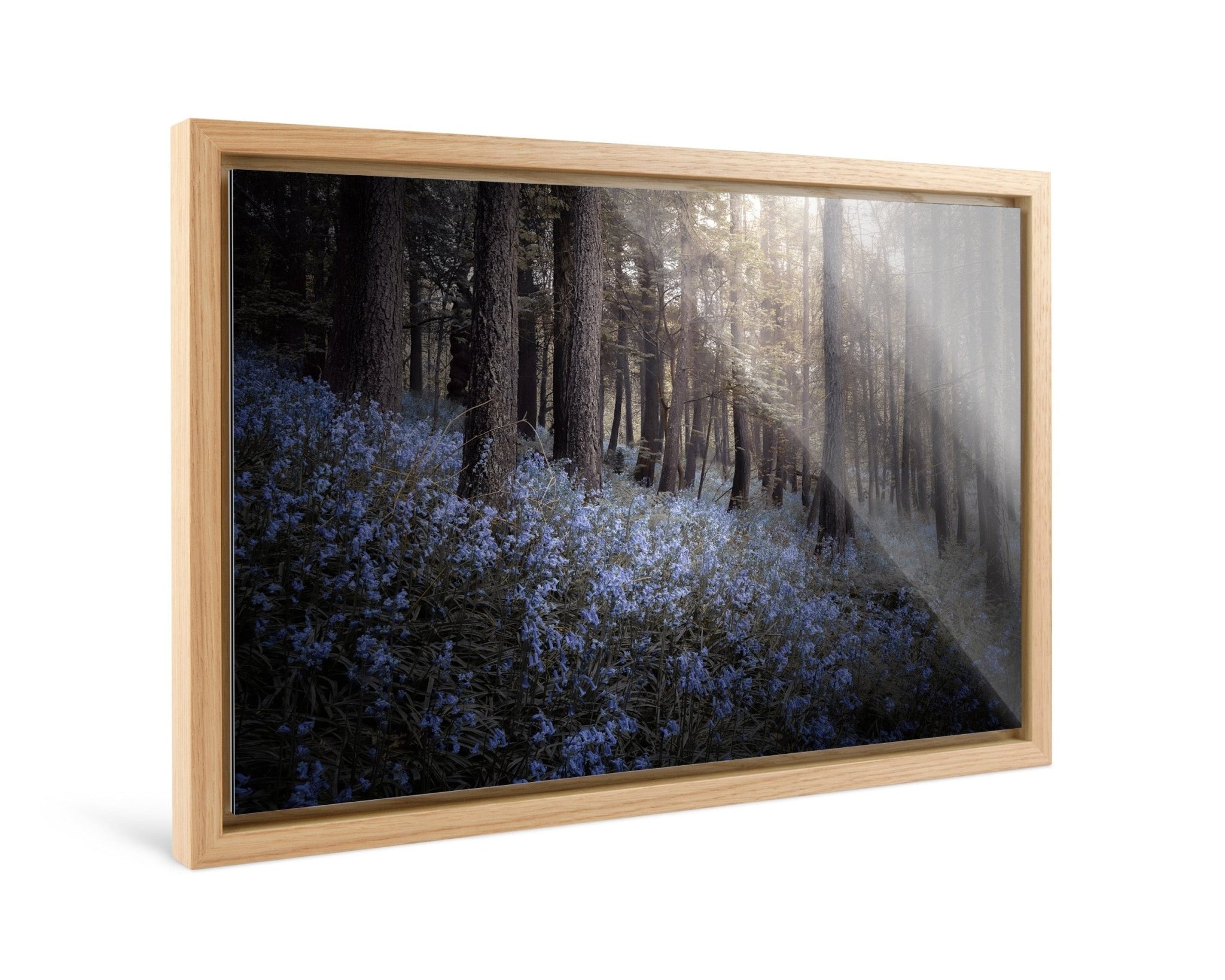 Bluebells - Yaopey Fine Art - 