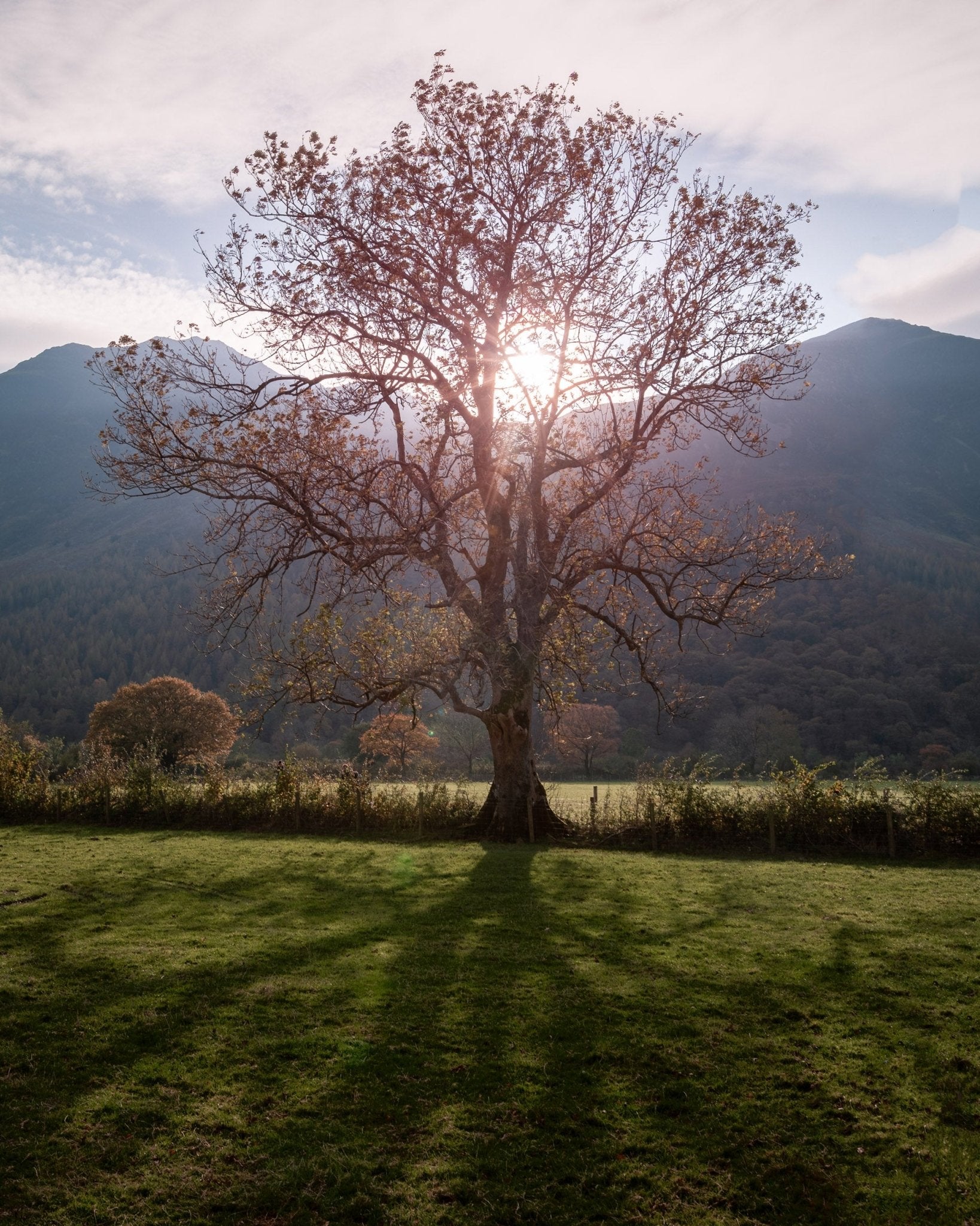 Breathe - Peak District - Yaopey Fine Art - 