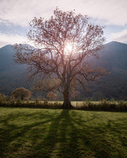 Breathe - Peak District - Yaopey Fine Art - 