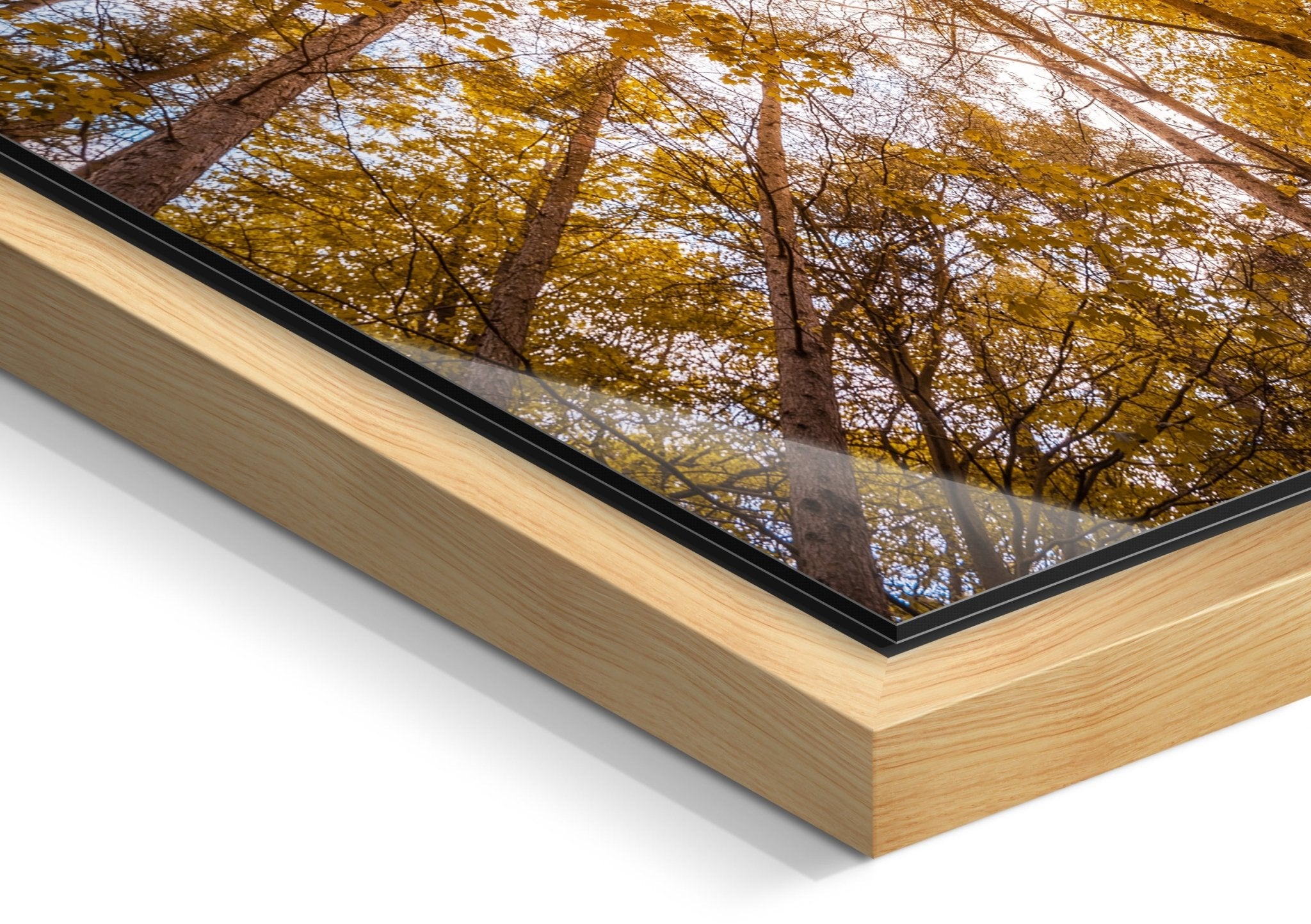 Canopy - Autumn - Yaopey Fine Art - 