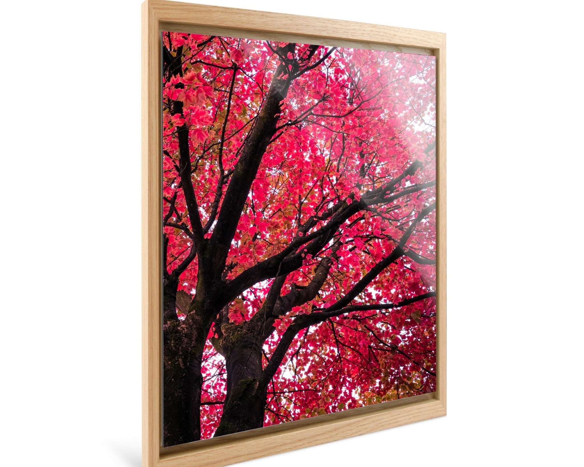 Crimson - Yaopey Fine Art - 