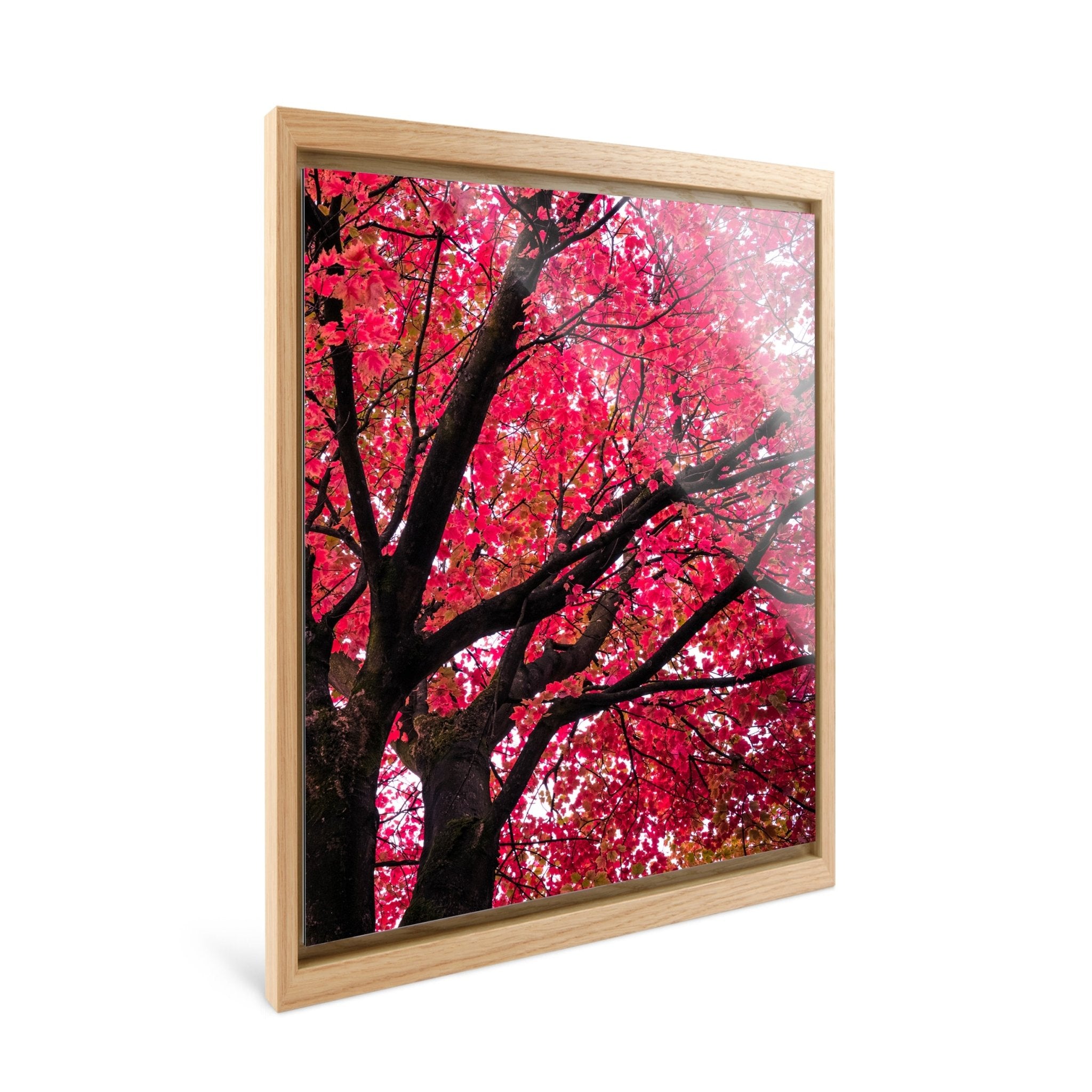 Crimson - Yaopey Fine Art - 