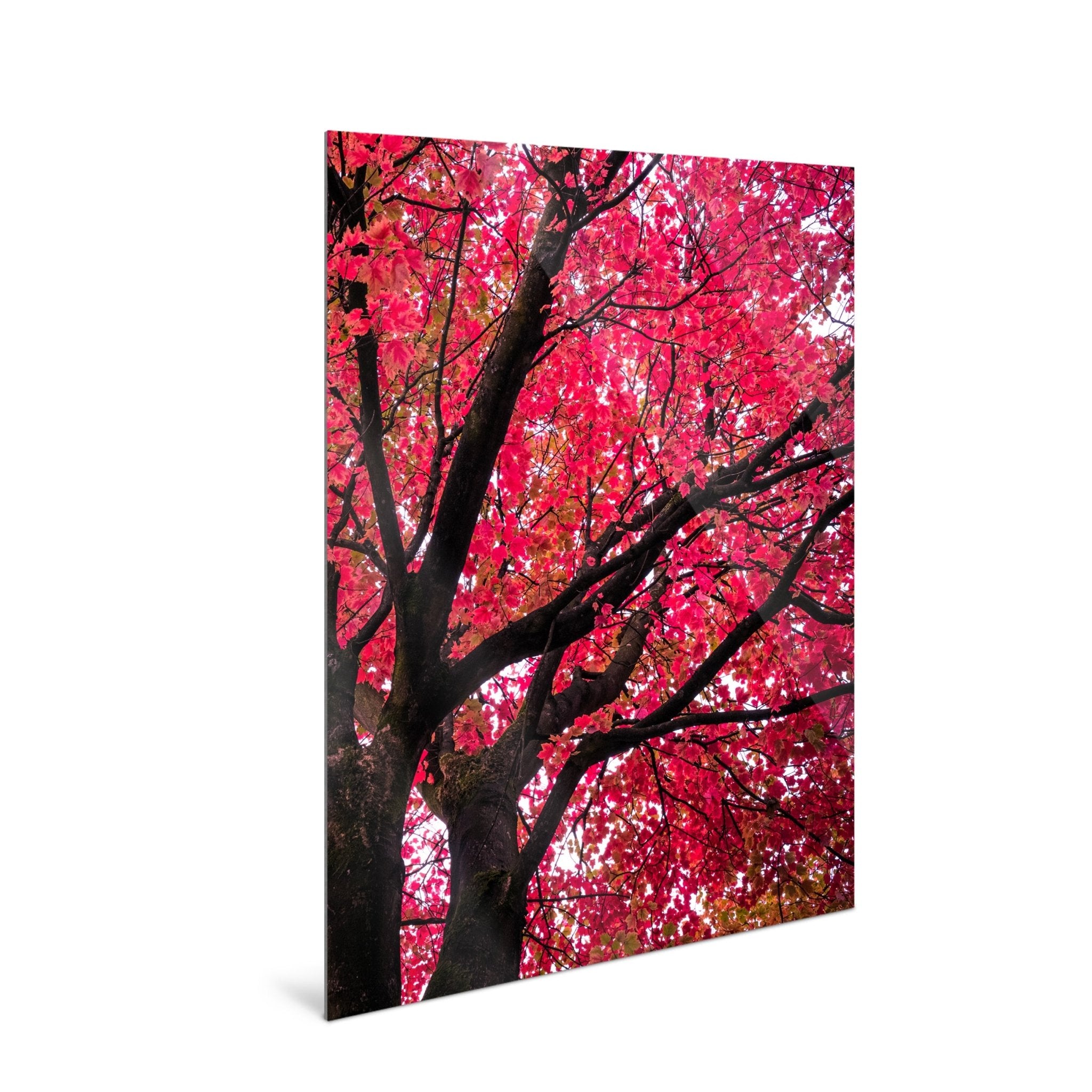 Crimson - Yaopey Fine Art - 