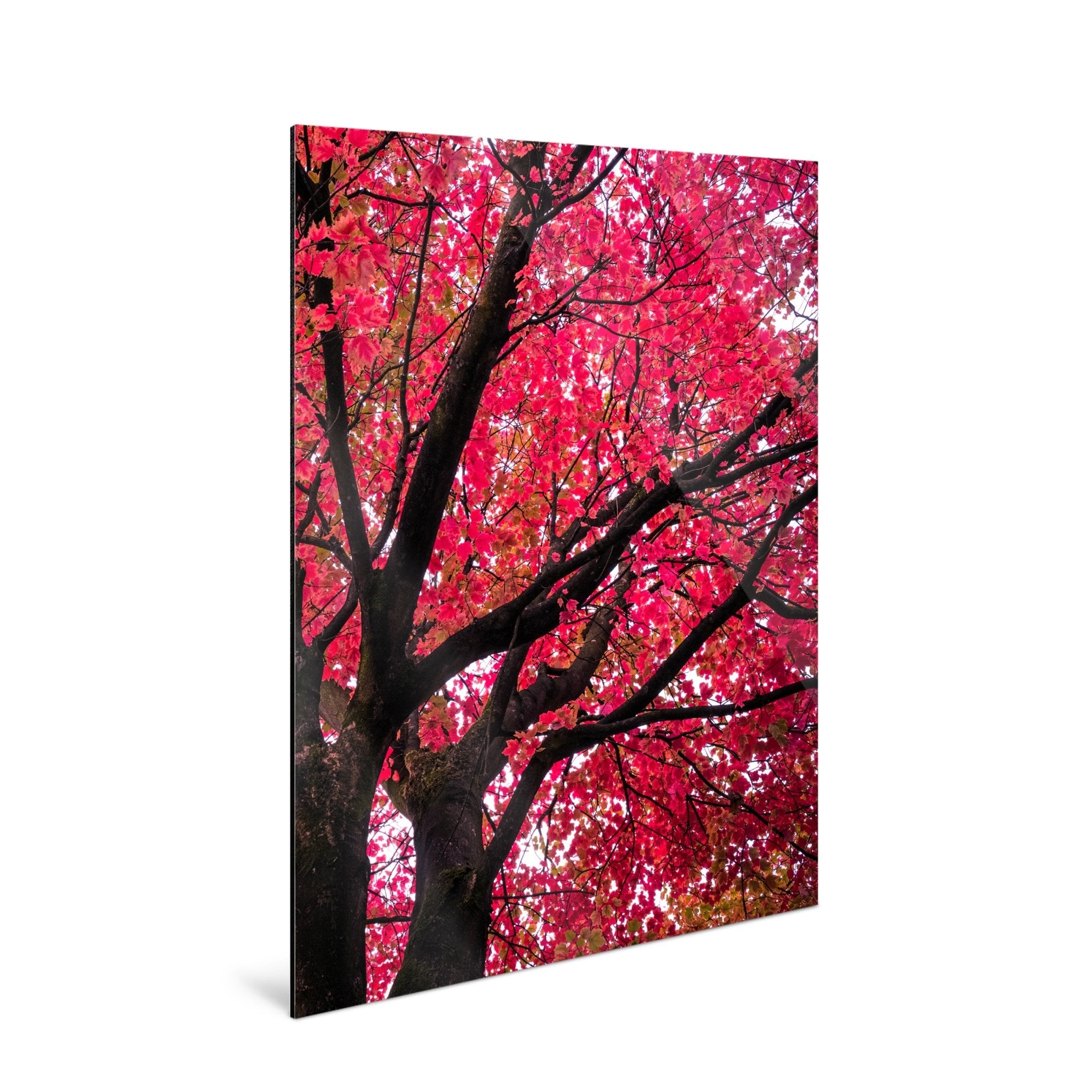 Crimson - Yaopey Fine Art - 