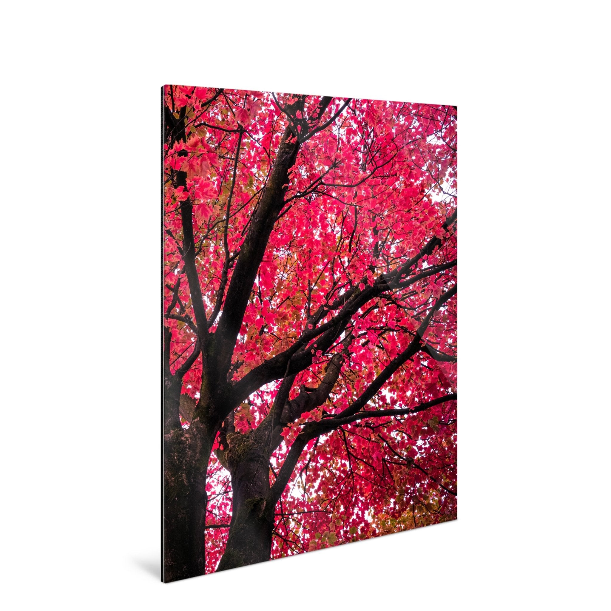 Crimson - Yaopey Fine Art - 