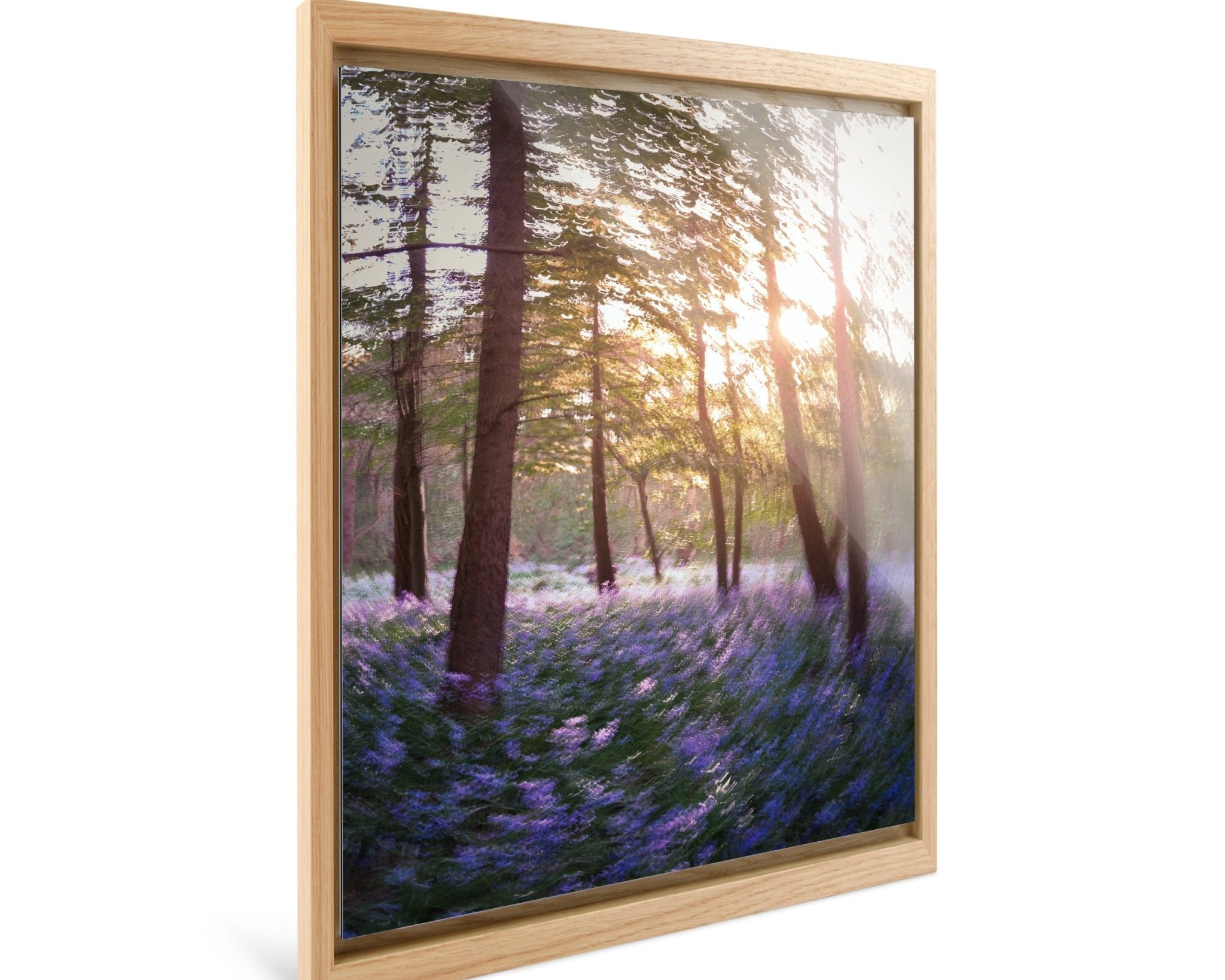 Daydream - Bluebells - Yaopey Fine Art - 