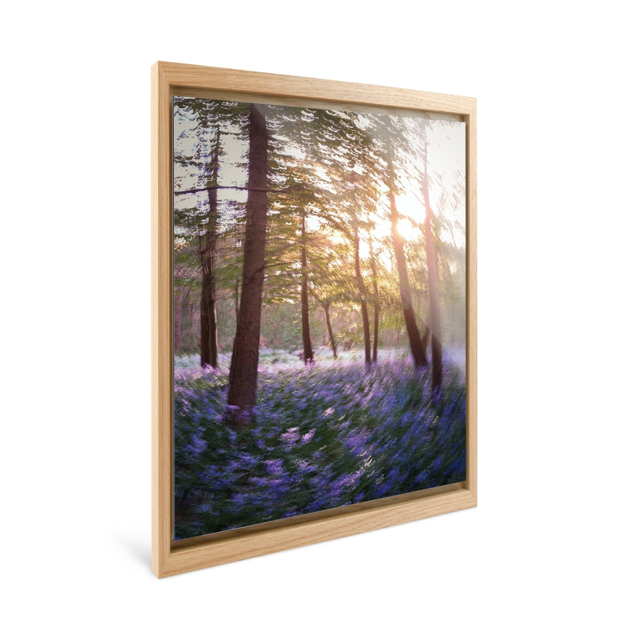Daydream - Bluebells - Yaopey Fine Art - 
