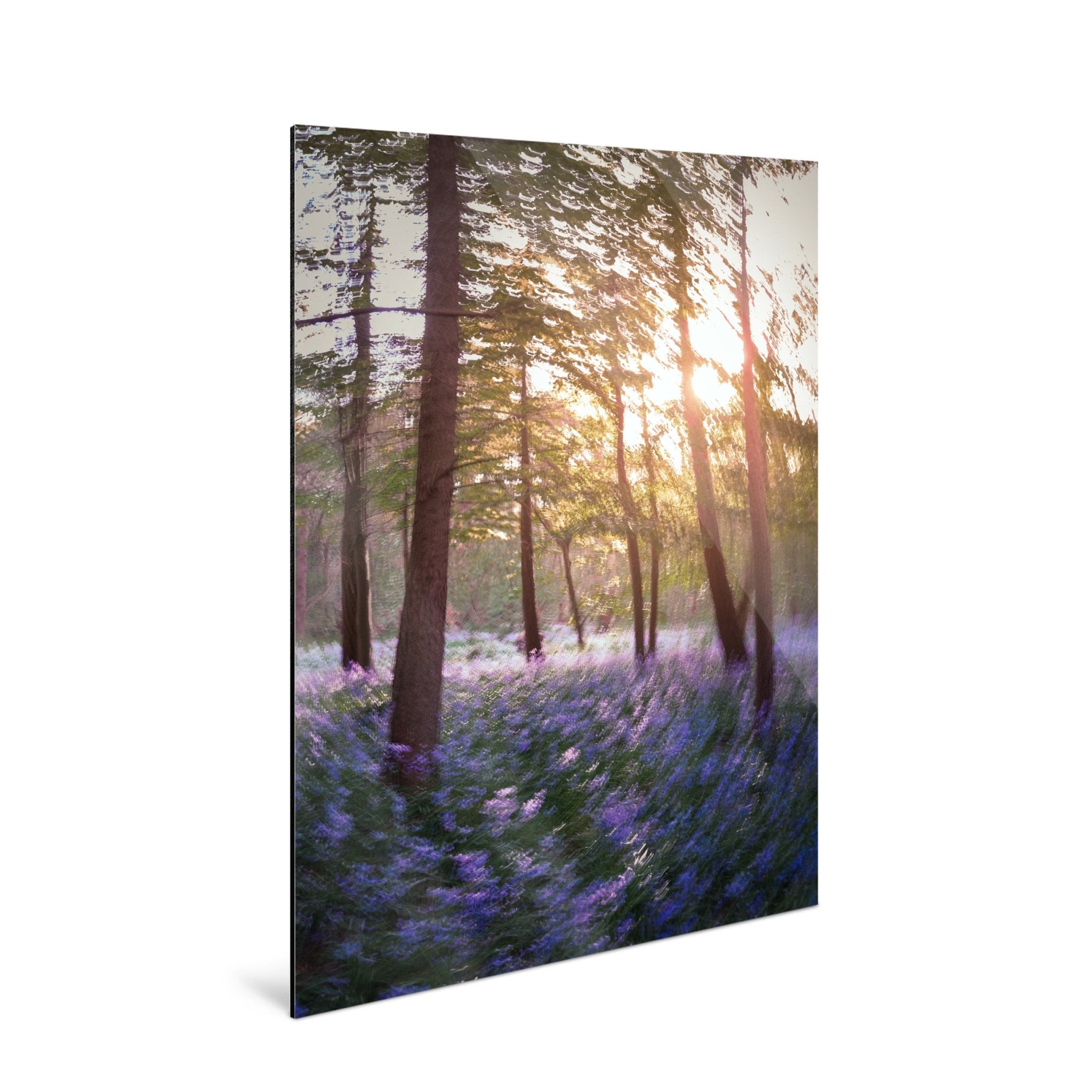 Daydream - Bluebells - Yaopey Fine Art - 