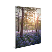 Daydream - Bluebells - Yaopey Fine Art - 