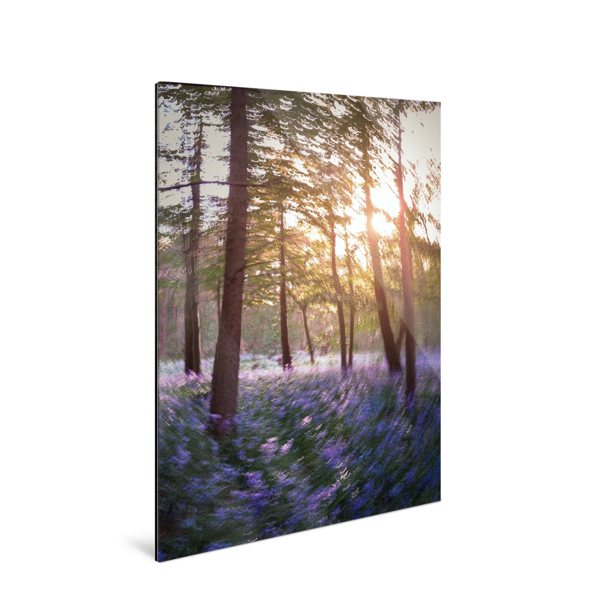 Daydream - Bluebells - Yaopey Fine Art - 
