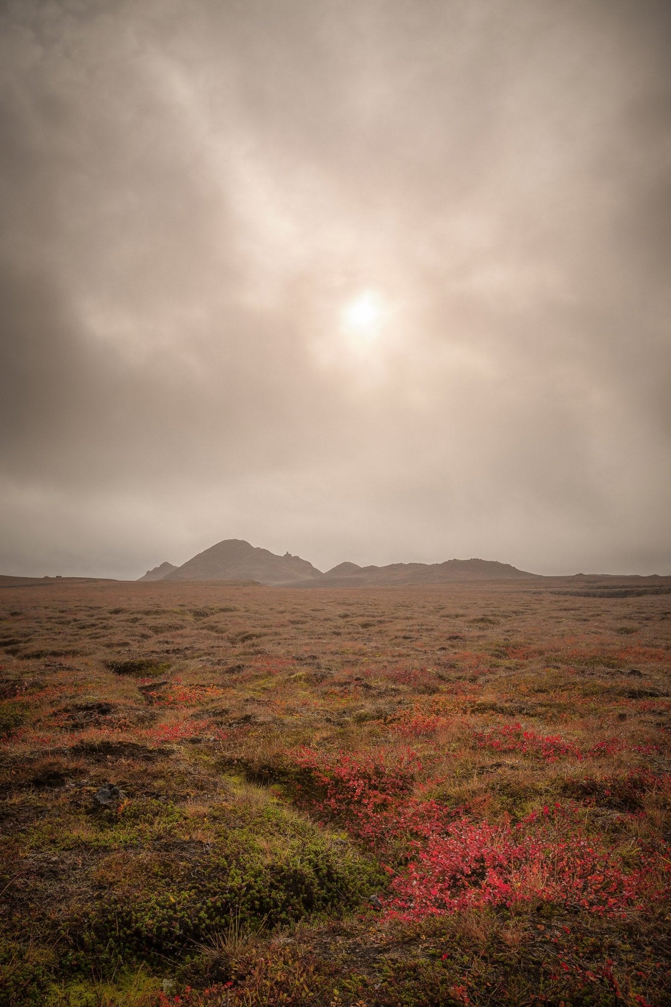Ember - Iceland - Yaopey Fine Art - 