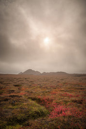 Ember - Iceland - Yaopey Fine Art - 