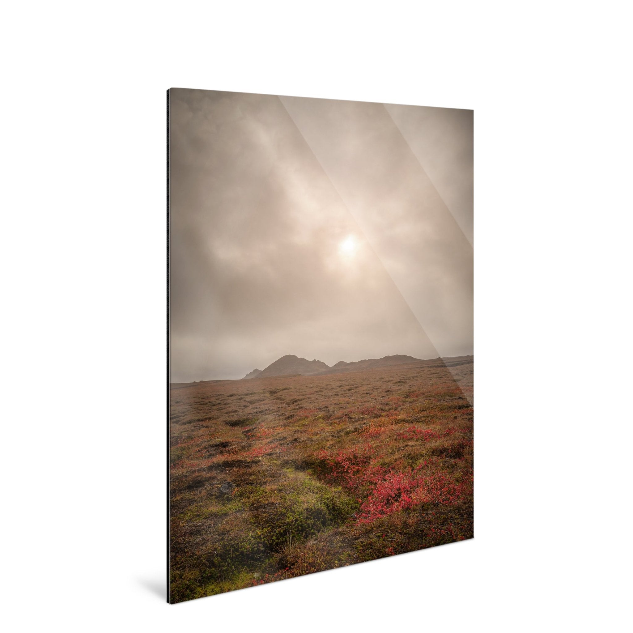 Ember - Iceland - Yaopey Fine Art - 