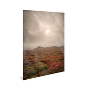 Ember - Iceland - Yaopey Fine Art - 