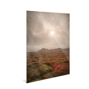 Ember - Iceland - Yaopey Fine Art - 