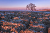 Ember - Yorkshire Dales - Yaopey Fine Art - 