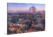 Ember - Yorkshire Dales - Yaopey Fine Art - 