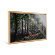Enchanted - Delamere Forest - Yaopey Fine Art - 