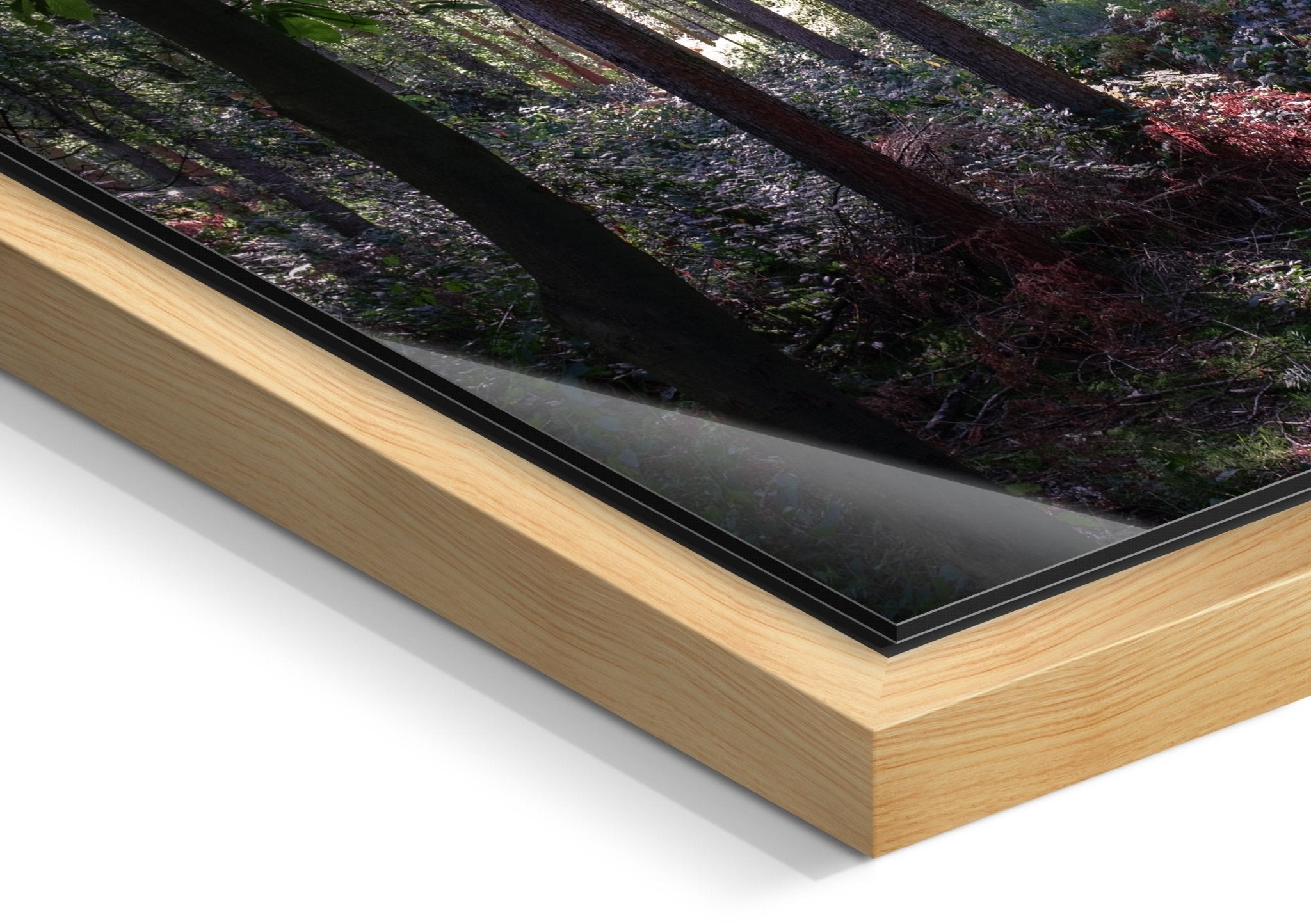 Enchanted - Delamere Forest - Yaopey Fine Art - 