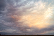 Ethereal - Yaopey Fine Art - 