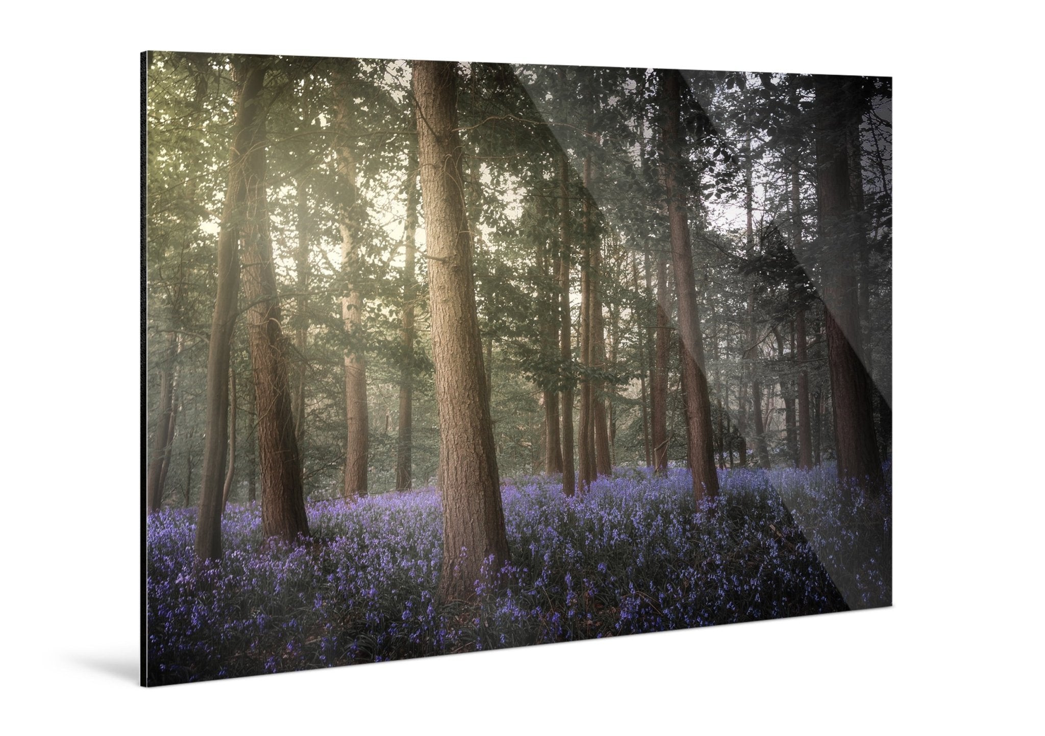 Forestlight - Yaopey Fine Art - 