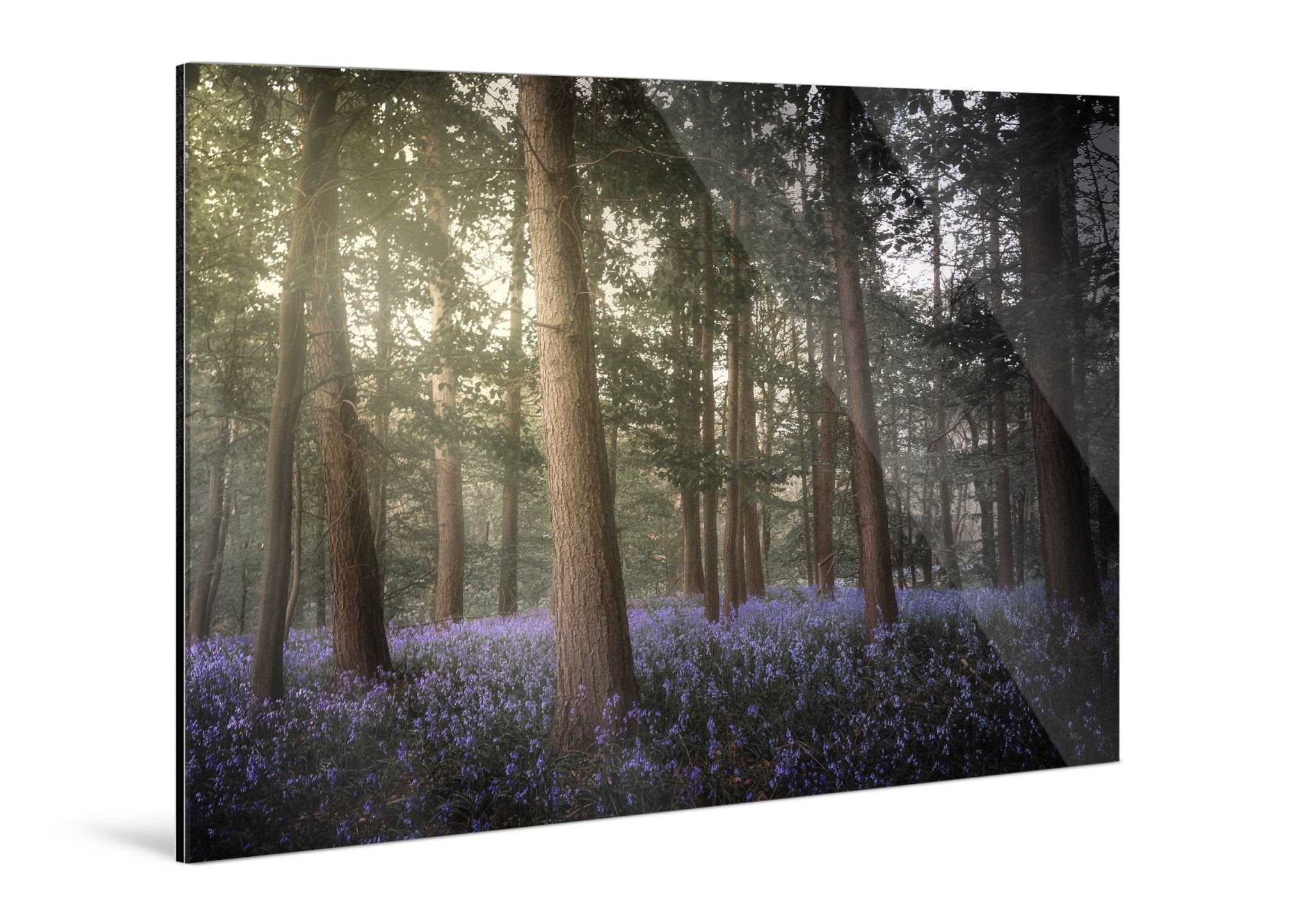 Forestlight - Yaopey Fine Art - 