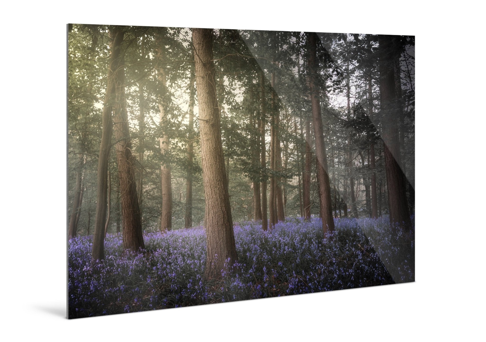 Forestlight - Yaopey Fine Art - 