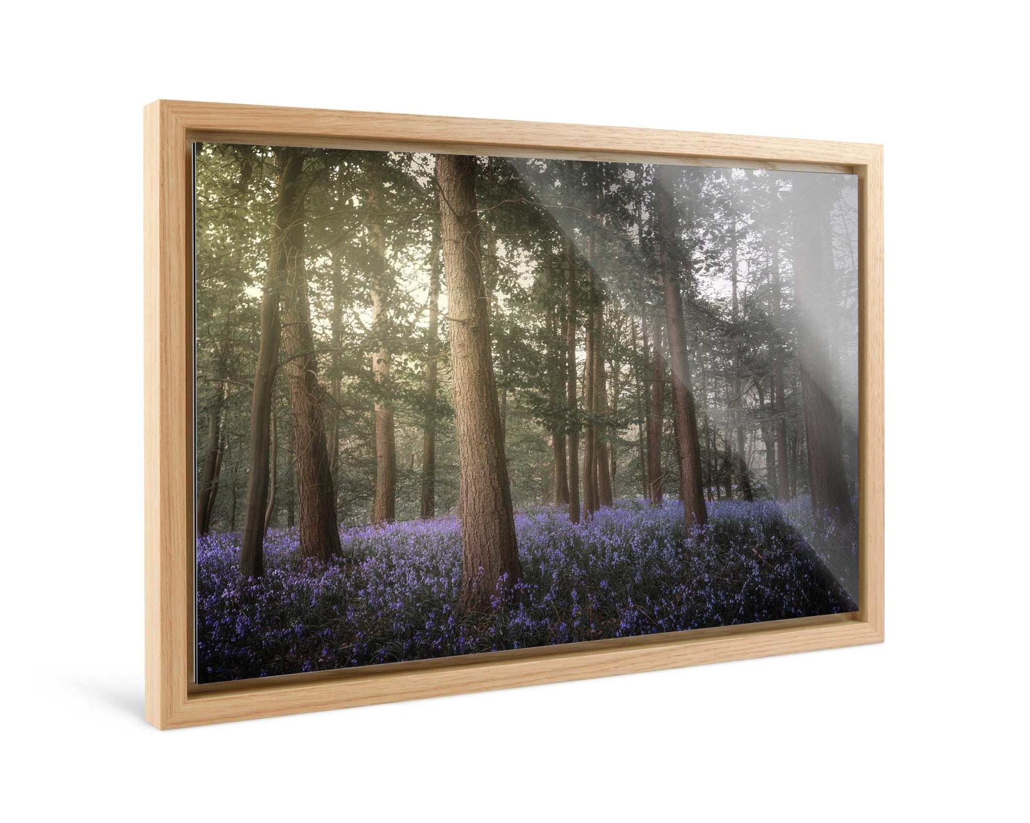 Forestlight - Yaopey Fine Art - 
