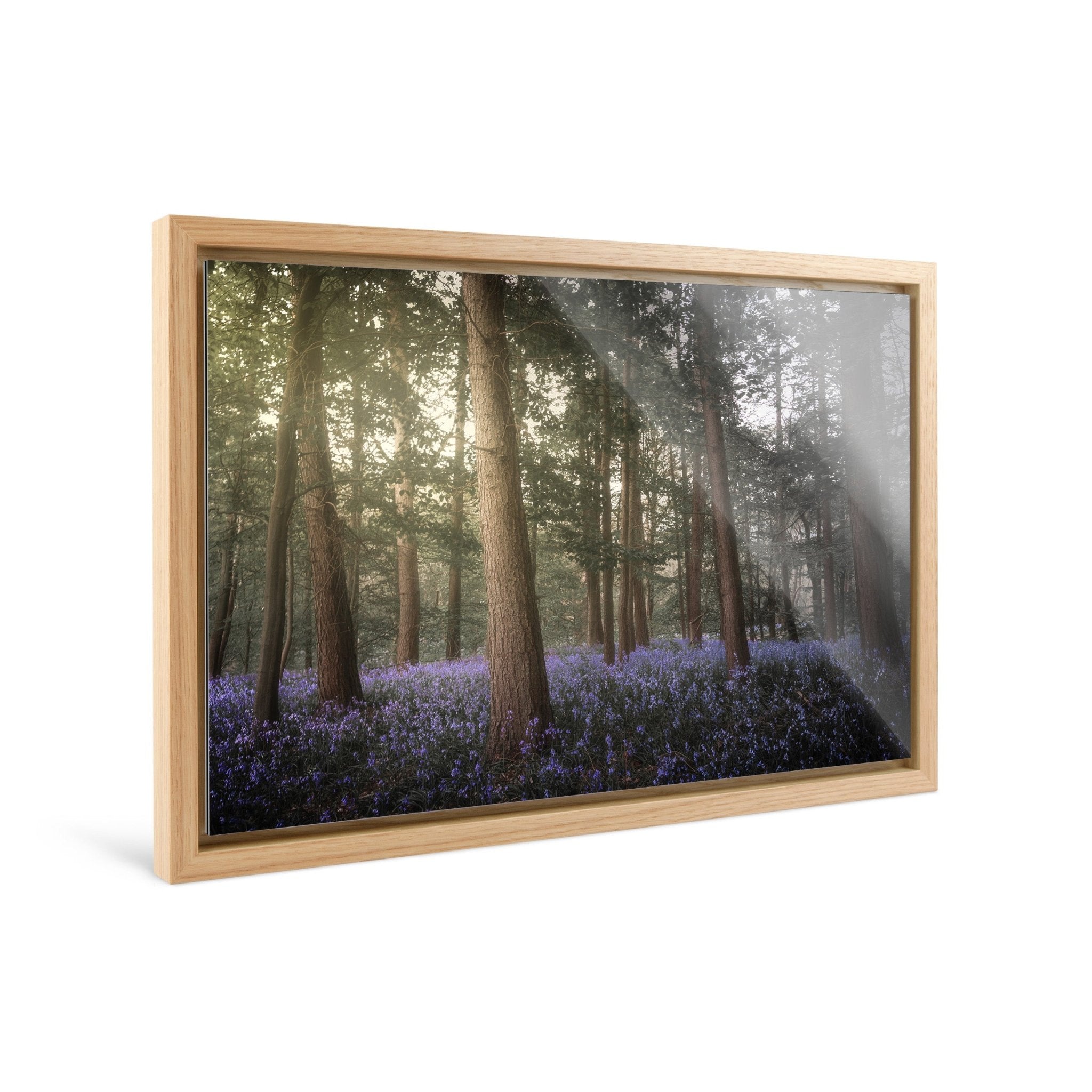 Forestlight - Yaopey Fine Art - 