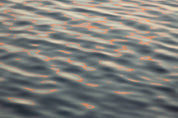 Glimmer - Yaopey Fine Art - 