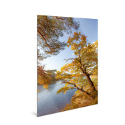 Glimmer - Lake District - Yaopey Fine Art - 