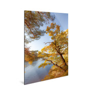 Glimmer - Lake District - Yaopey Fine Art - 