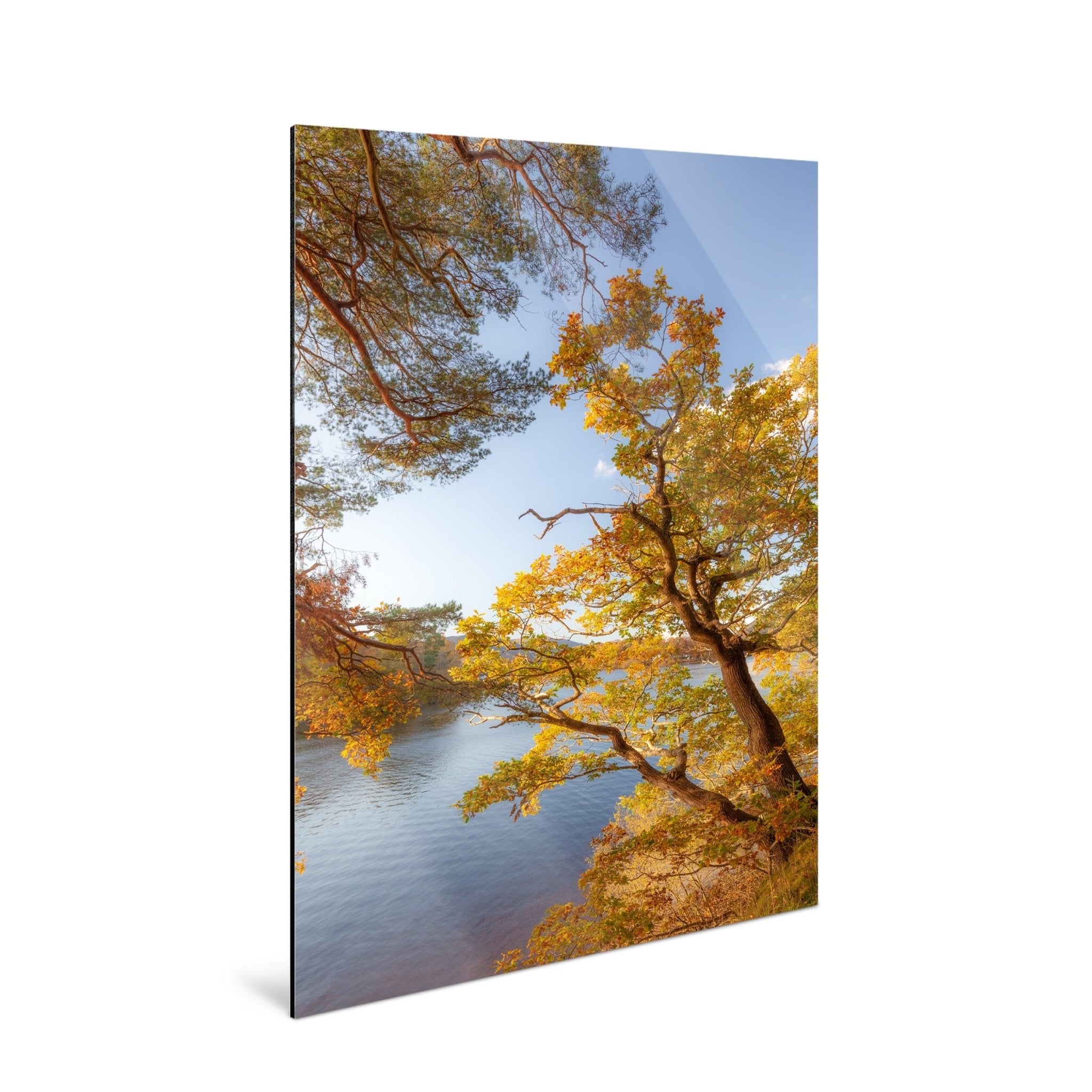 Glimmer - Lake District - Yaopey Fine Art - 