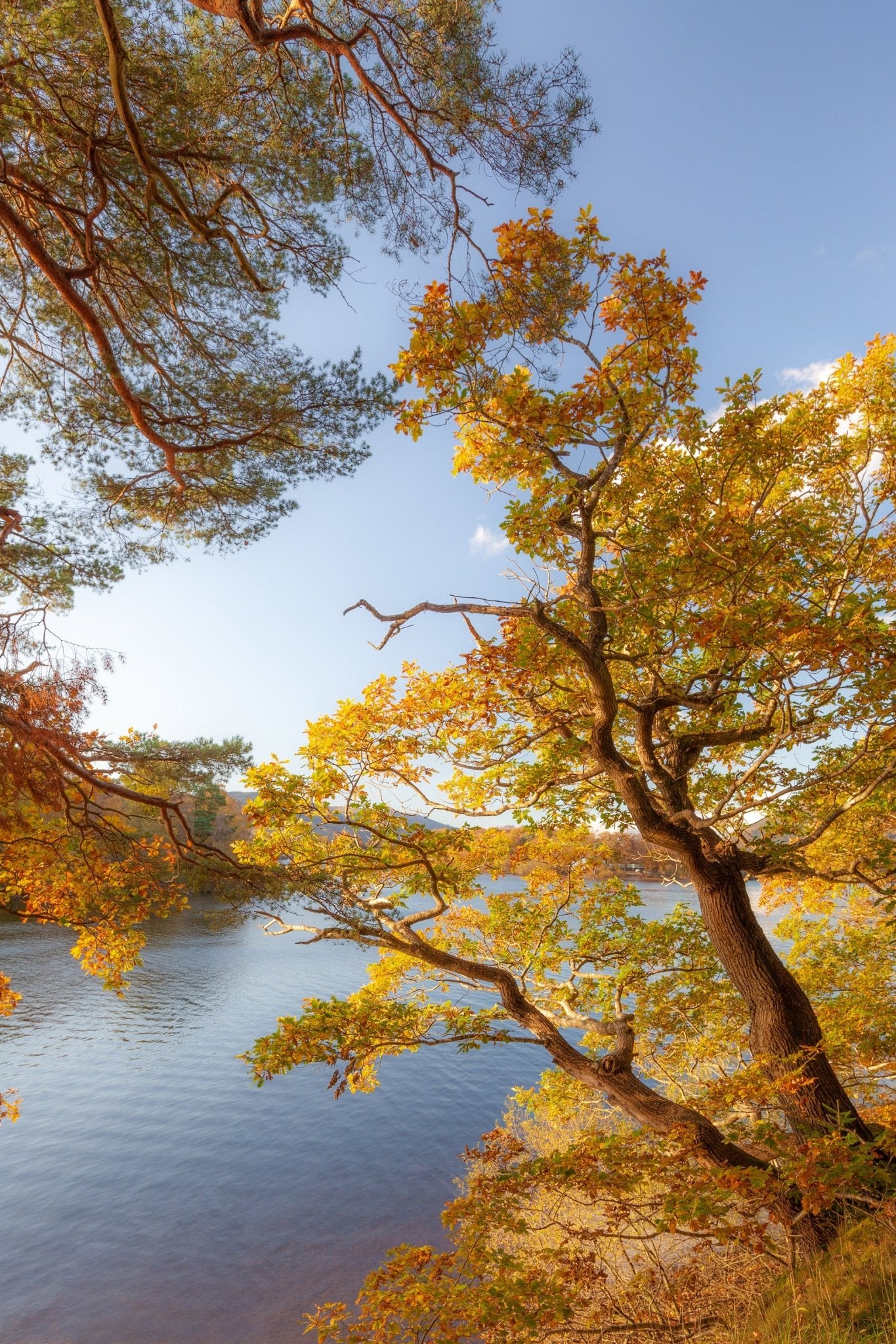 Glimmer - Lake District - Yaopey Fine Art - 