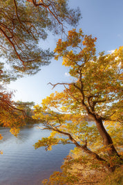 Glimmer - Lake District - Yaopey Fine Art - 