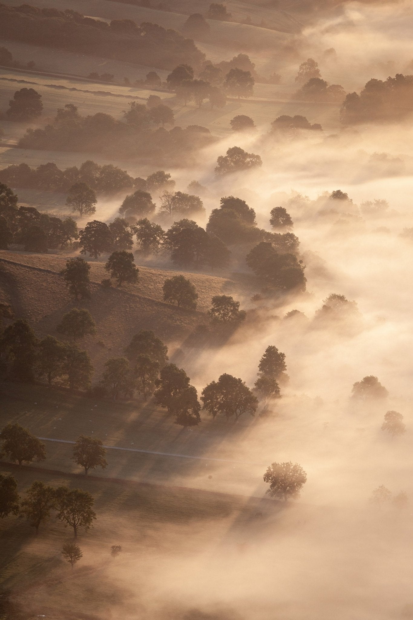 Goldenveil - Peak District - Yaopey Fine Art - 