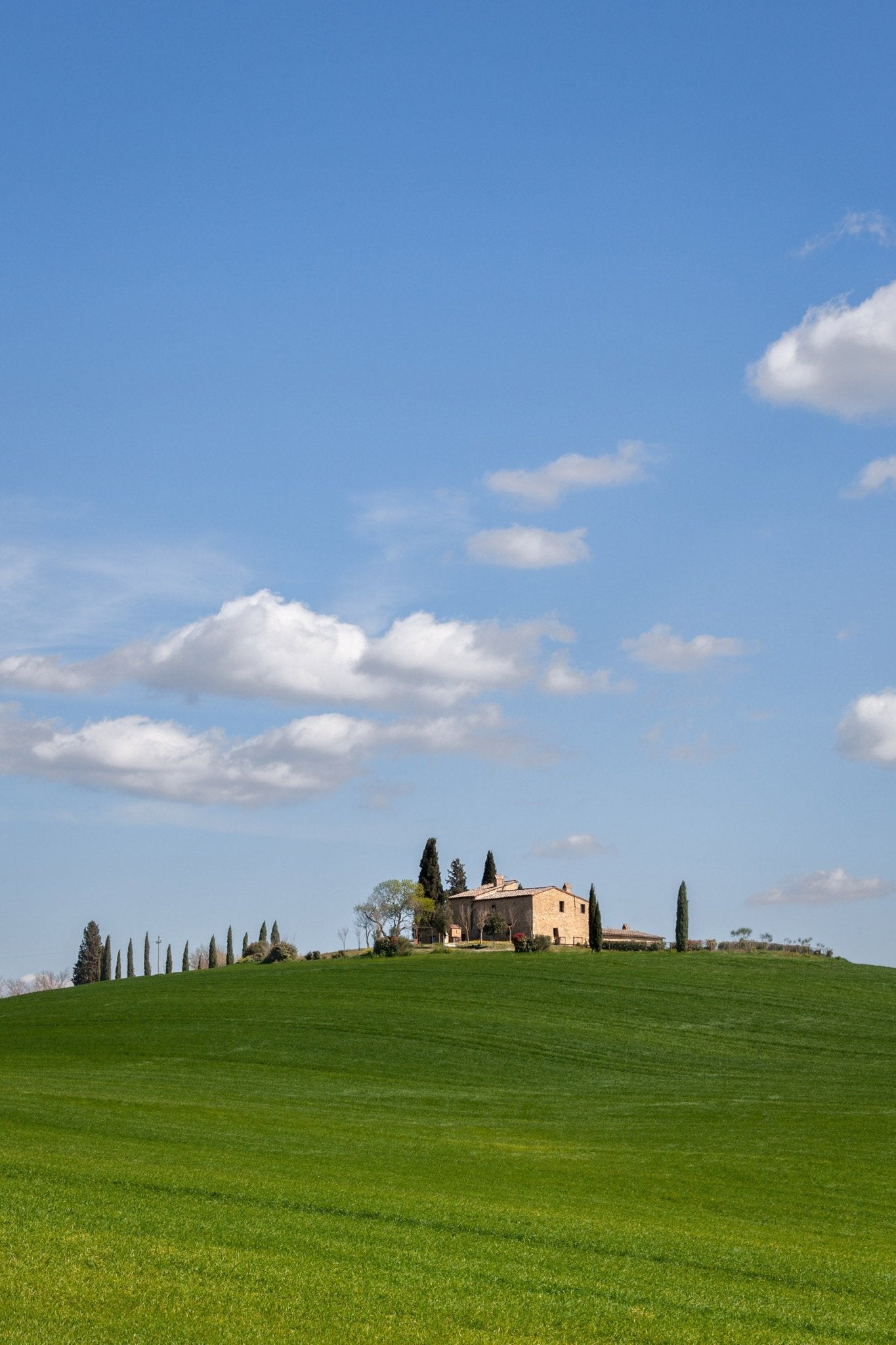 Haven - Tuscany - Yaopey Fine Art - 