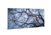 Intertwined - Yaopey Fine Art - 
