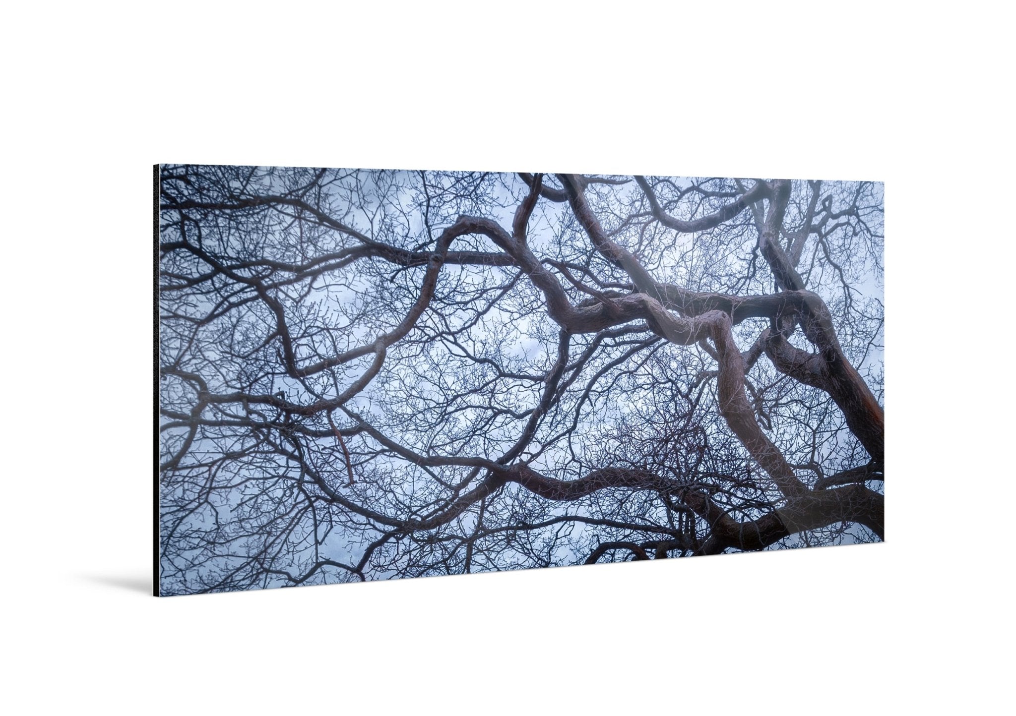 Intertwined - Yaopey Fine Art - 