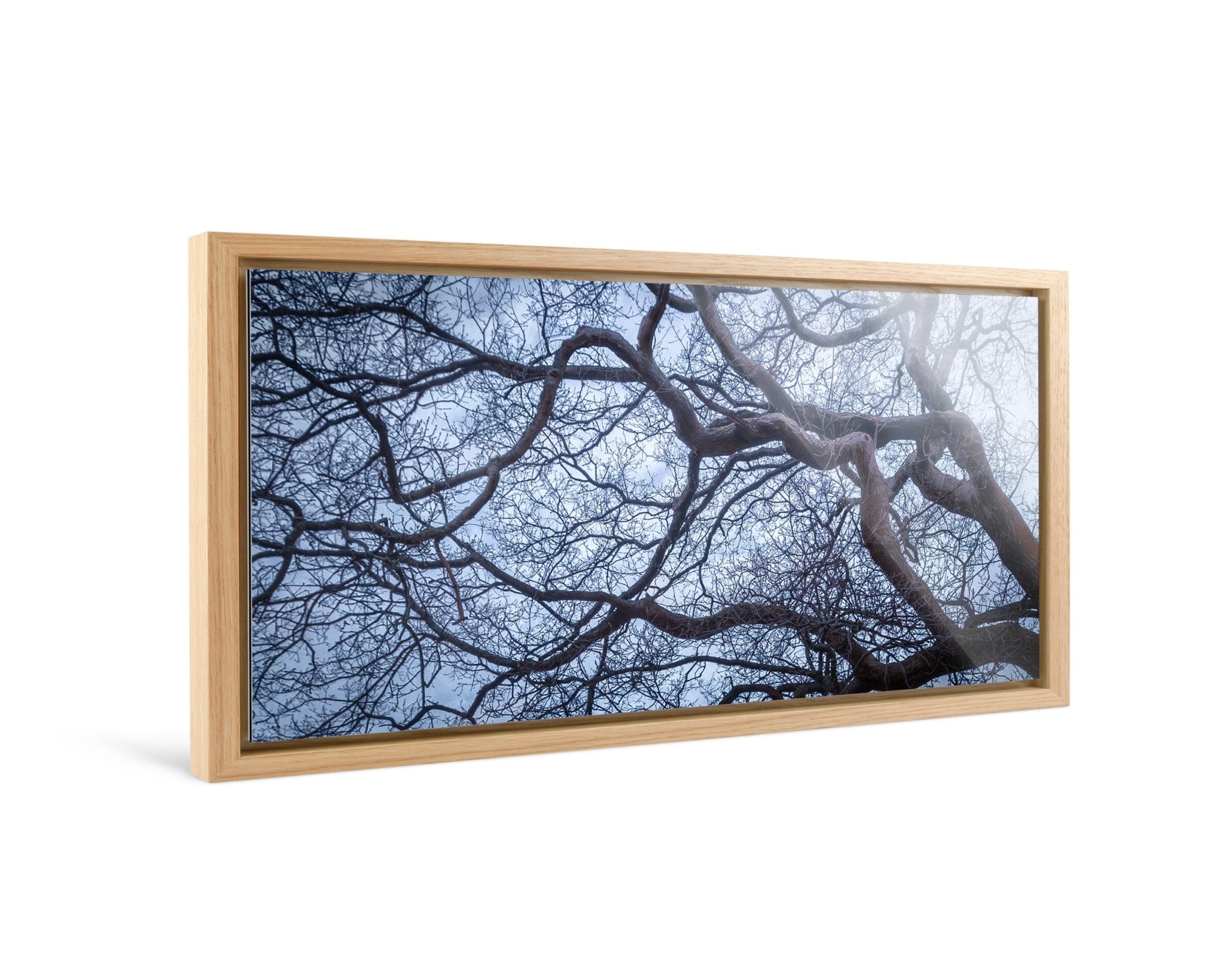 Intertwined - Yaopey Fine Art - 